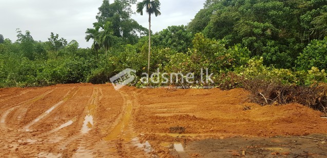Land is for long term Lease or Rent in Elpitiya for investors