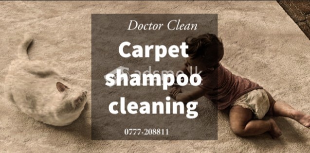 sofa / tile / carpet / chair shampoo cleaning service