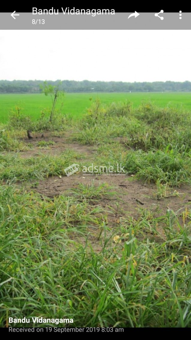 330 PERCHES COMMERCIAL LAND FOR SALE AT KIRINDA