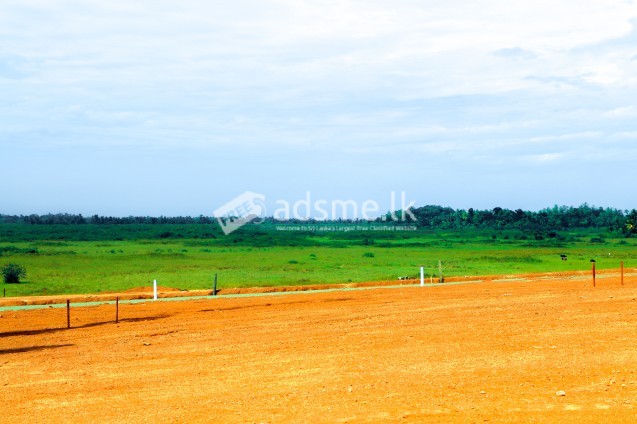 Elpitiya Araliya Land for Sale (LOT- 53)