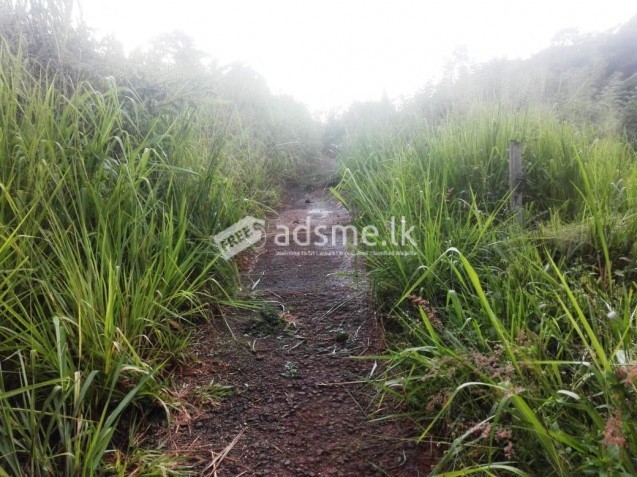 Land for Sale in Gampola