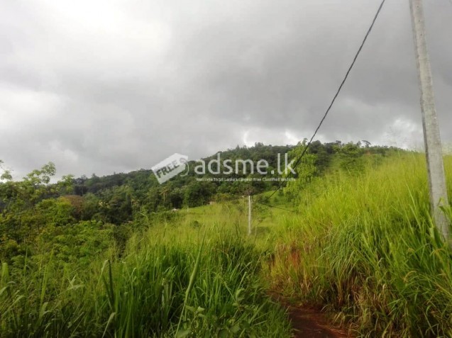 Land for Sale in Gampola