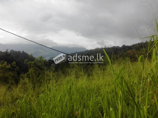 Land for Sale in Gampola
