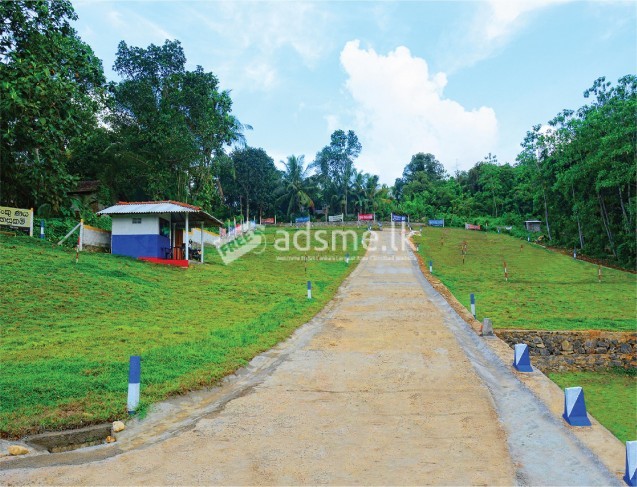 Thalagaha Araliya Land for Sale (LOT-7)