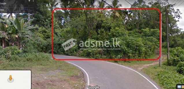 Land in sale