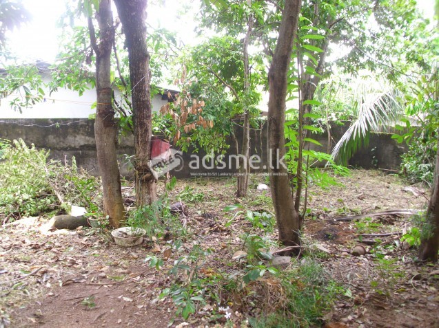 19 Perch Land for sale in Maharagama