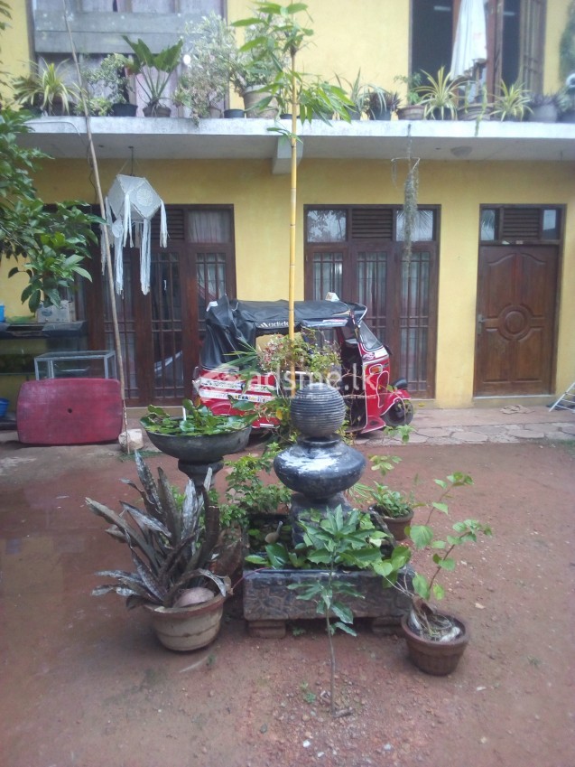 House for rent in Malabe