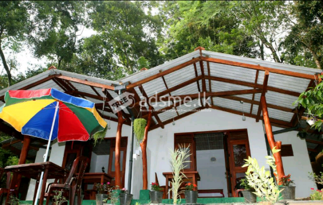 Holiday rooms for rent in Ella
