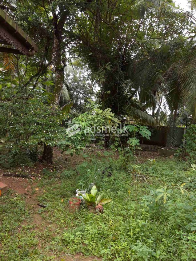 House For Sale In Olaboduwa - Gonapala
