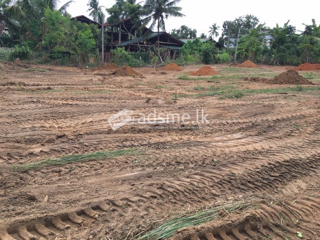 Land for Sale in Kalagedihena