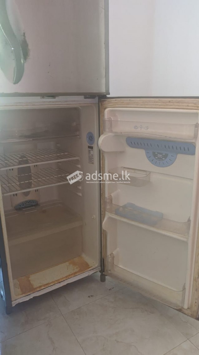 Fridge (refrigerator)