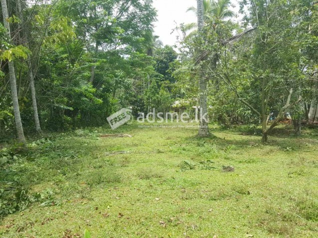 Land For Sale In Horana - Gurugoda
