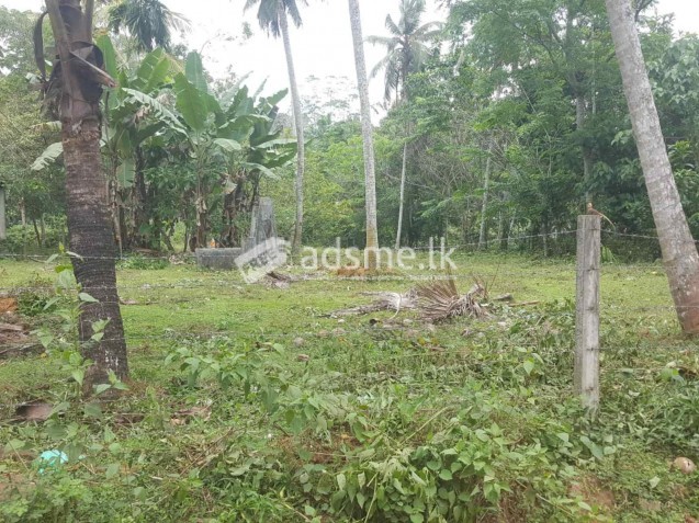 Land For Sale In Horana - Gurugoda