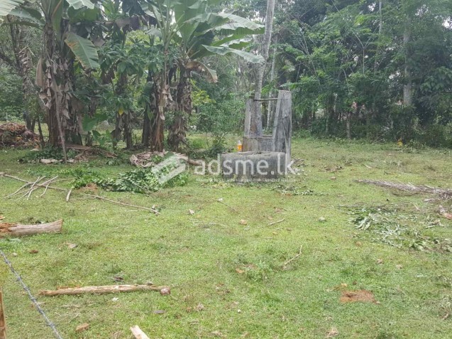 Land For Sale In Horana - Gurugoda