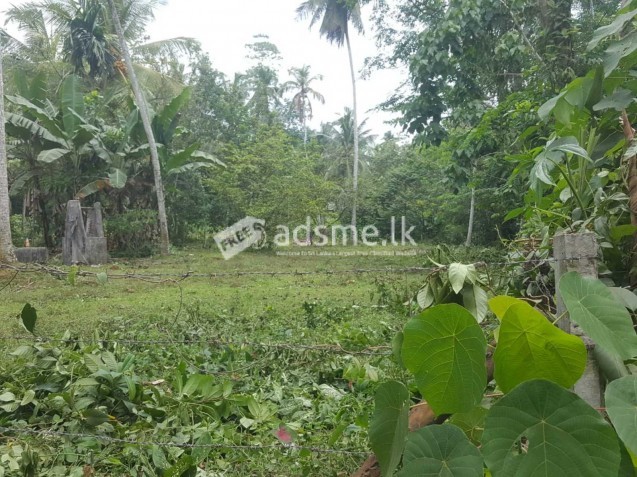Land For Sale In Horana - Gurugoda