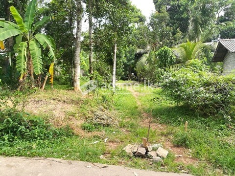 Two Land for sale in Pannipitiya