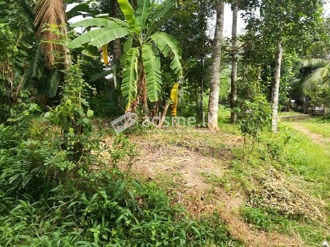 Two Land for sale in Pannipitiya
