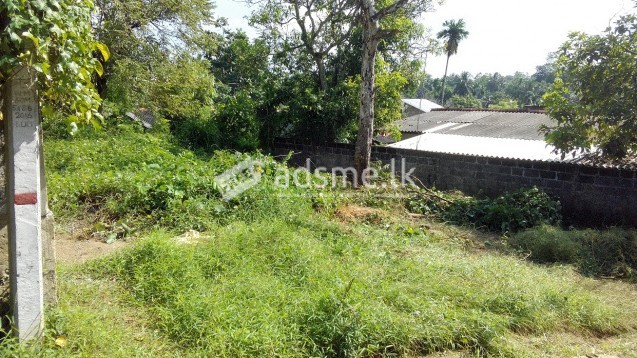 Bare Land for sale in Piliyandala