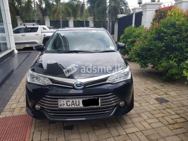 Toyota Axio 2016 (Used)