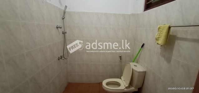 House for rent