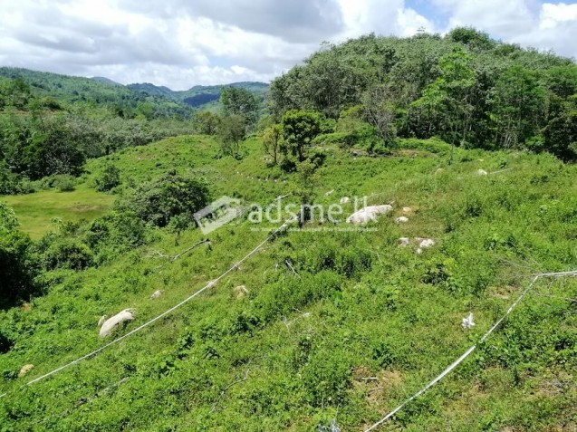 Estate Land With a Beautiful and Peaceful Environment