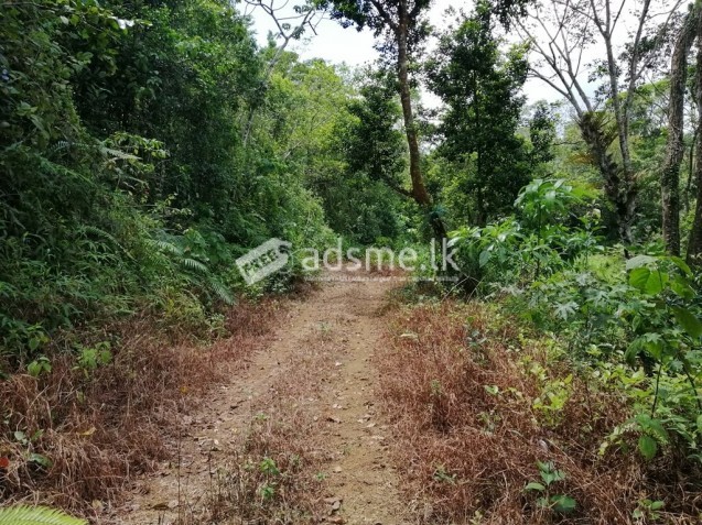Estate Land With a Beautiful and Peaceful Environment