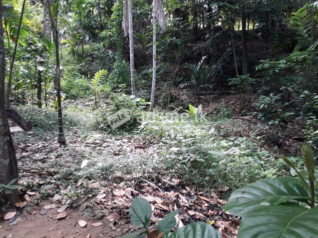 ඉඩම විකිණීමට