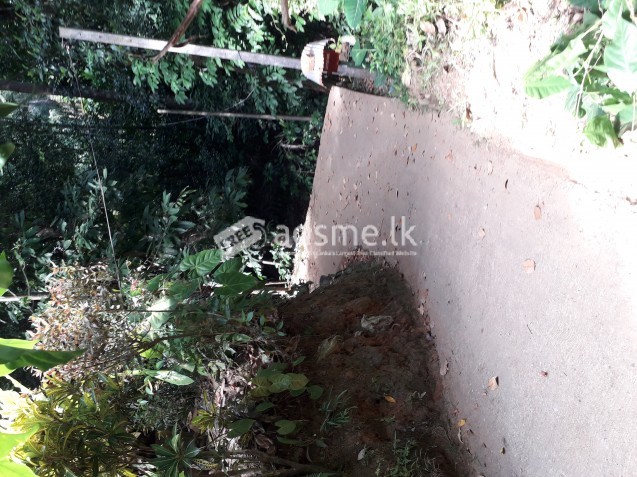 ඉඩම විකිණීමට