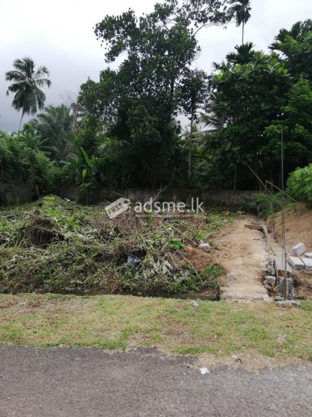 Land For Sale In Pandura