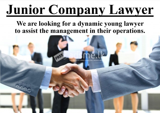 Junior Company Lawyer