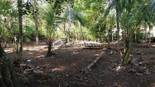 Land For Sale In Dickwella, Dematapitiya.