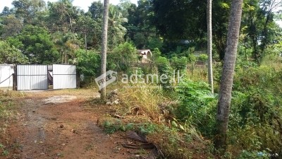 Commercial Land For Sale In Ratnapura