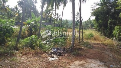 Commercial Land For Sale In Ratnapura