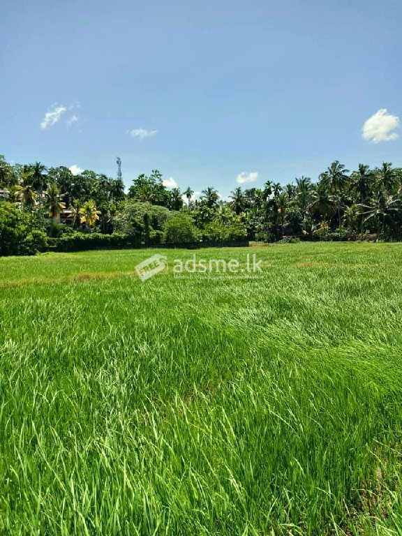 48 Perches Highly Residential Land For Sale in Malabe Town