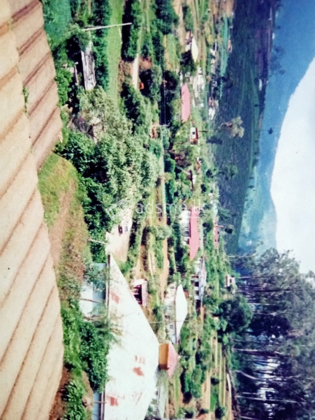 Nuwara eliya land for sale soon
