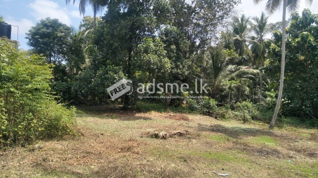 Land for sale in Kadawatha