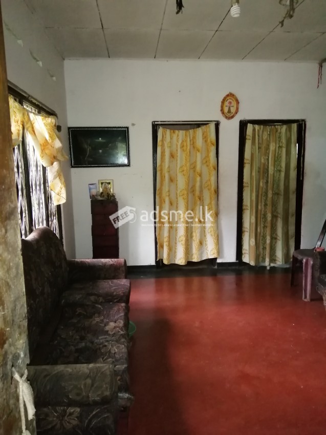 නිරවුල් ඉඩම