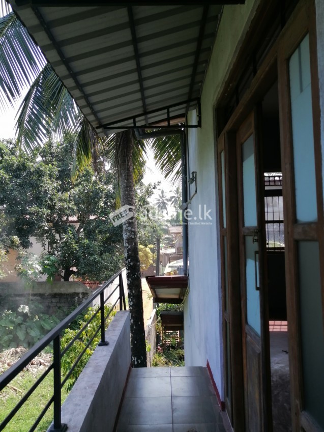 Annexe for rent at Homagama