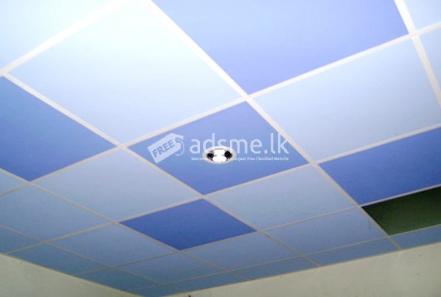 Ceiling and Roofing