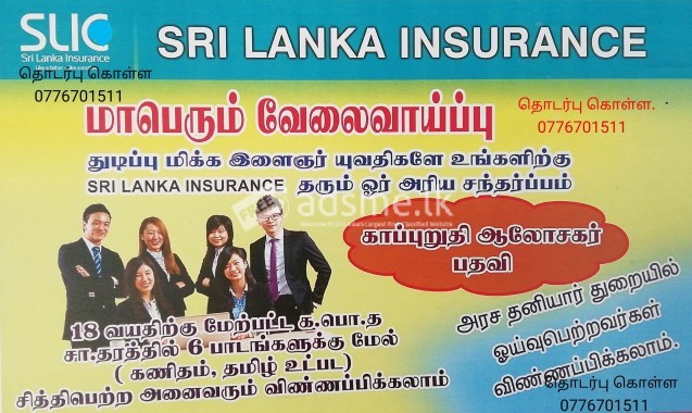 Post:-  Insurance Advisor : Srilanka Insurance Corporation - Jaffna, Nelliady.
