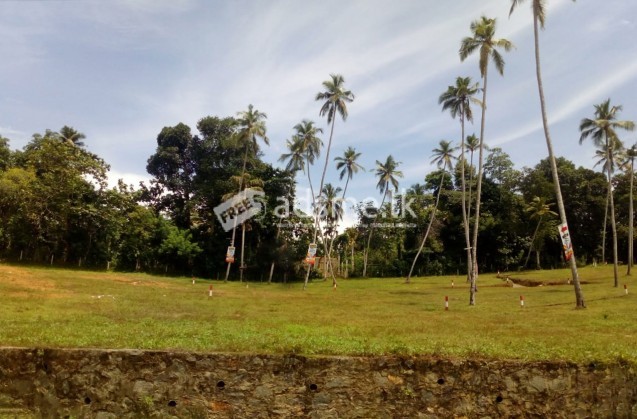 Land for Sale - Galle