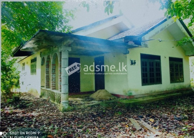 House For Sale