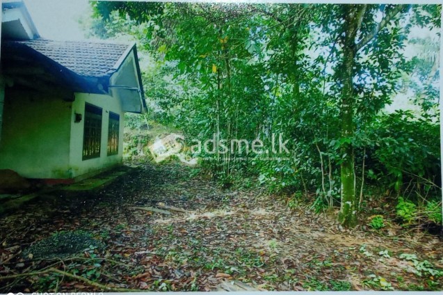 House For Sale
