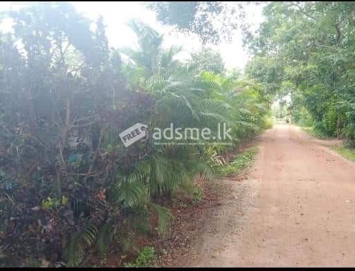 Land for sale with House in Anuradhapura.