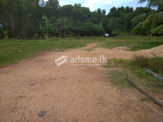 Land for Rent/Lease in Panadura