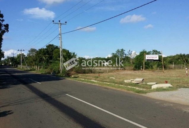 Land For Sale In Ranna