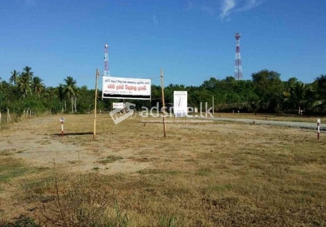 Land For Sale In Ranna