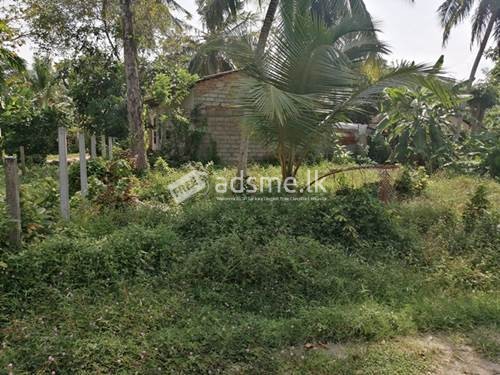 Land For Quick Sale In Matara