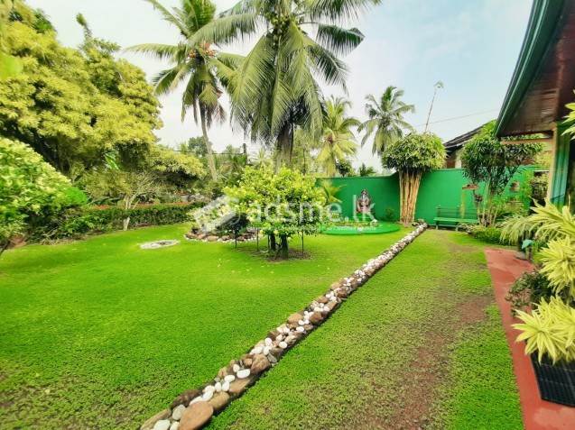 LUXURIOUS HOUSE WITH A GREEN GARDEN FOR SALE IN PANADURA