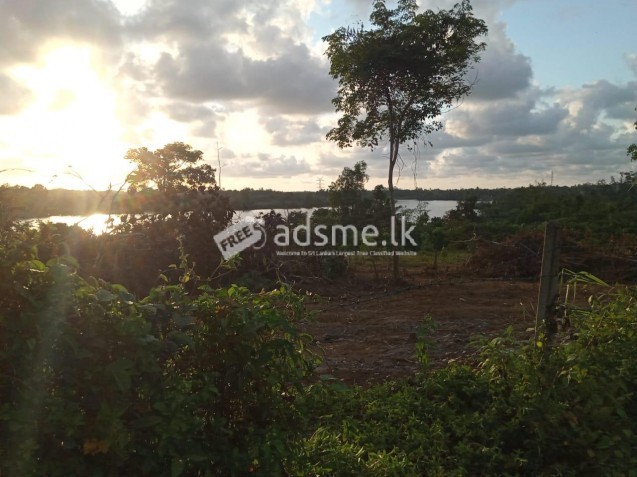 Land for Sale - Bandaragama